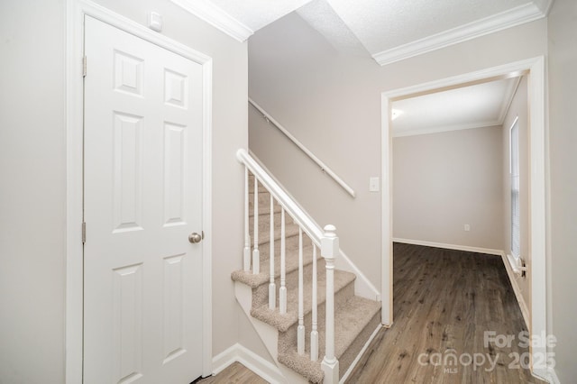 staircase featuring hardwood / wood-style flooring and crown molding