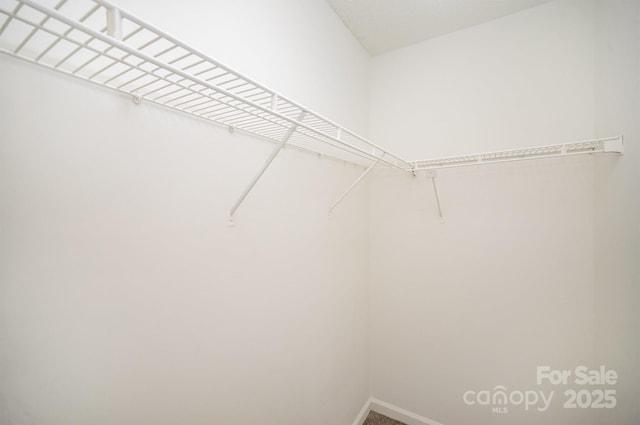 view of spacious closet