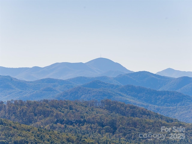 view of mountain feature featuring a forest view