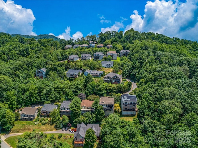 86 Distant View Dr, Asheville, NC 28803 - photo 6