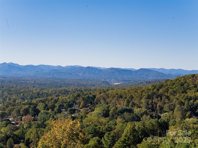 86 Distant View Dr, Asheville, NC 28803 - photo 45