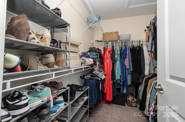 walk in closet with carpet