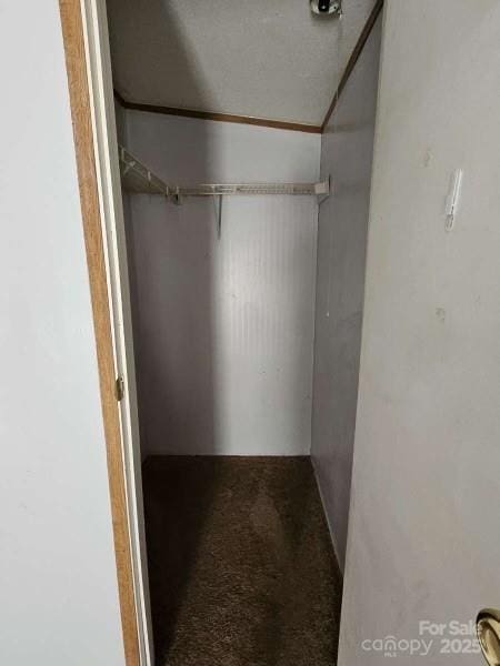 spacious closet featuring carpet