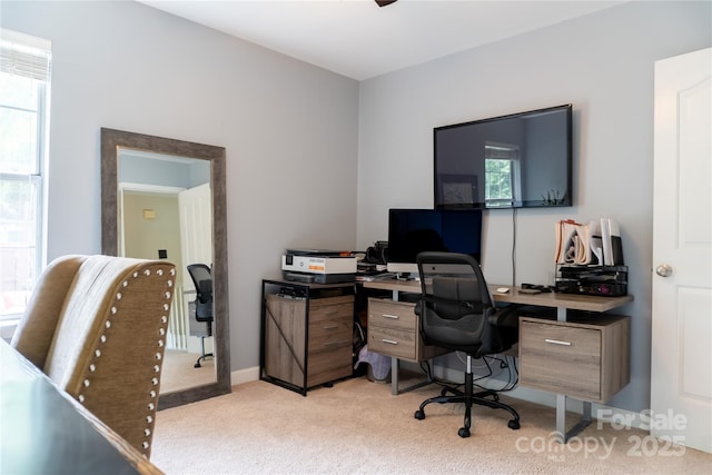 office space with light carpet