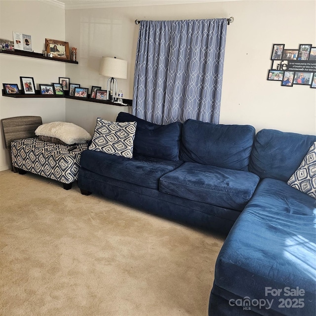 living room featuring light colored carpet and ornamental molding