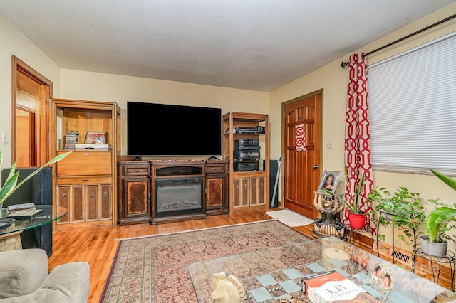 living room featuring light wood-type flooring