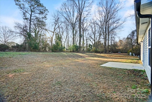 view of yard with a patio area