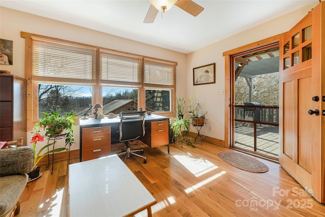 14 Drake St, Asheville, NC 28806 - home office with light wood-style flooring, a ceiling fan, and baseboards