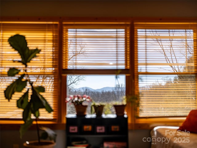 14 Drake St, Asheville, NC 28806 - detailed view of a mountain view