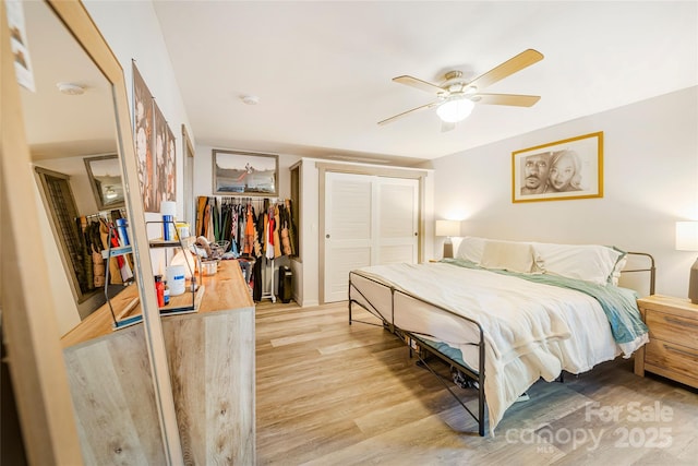 14 Drake St, Asheville, NC 28806 - bedroom with light wood finished floors and ceiling fan