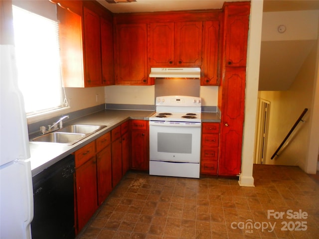 kitchen with white appliances, a sink, and under cabinet range hood