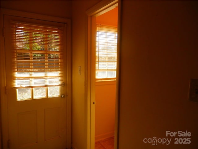 doorway to outside with a wealth of natural light