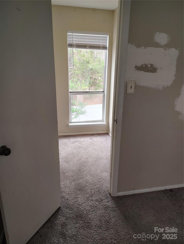 corridor with carpet floors