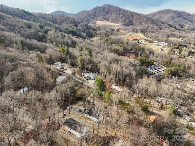 drone / aerial view featuring a mountain view
