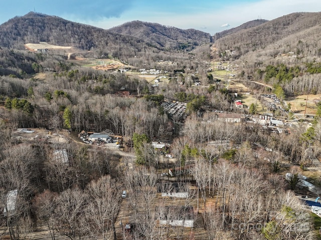 view of mountain feature