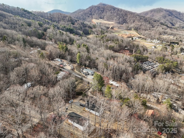 aerial view with a mountain view