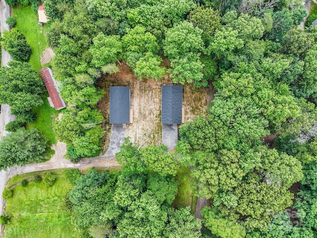 10 Fair Bluff Ln, Candler, NC 28715 - photo 37