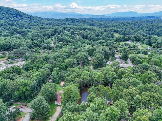 10 Fair Bluff Ln, Candler, NC 28715 - photo 38