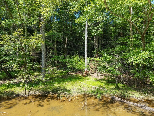 2009 Beauhaven Ln Unit 16, Belmont, NC 28012 - photo 17