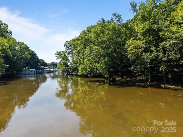 2009 Beauhaven Ln Unit 16, Belmont, NC 28012 - photo 18