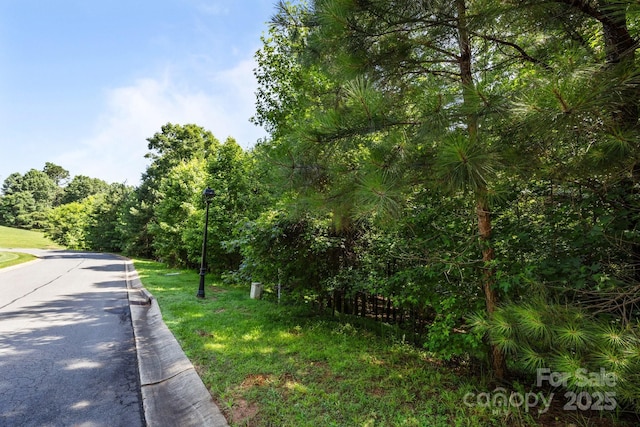 2009 Beauhaven Ln Unit 16, Belmont, NC 28012 - photo 2