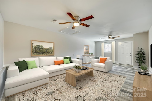 living room with ceiling fan and light wood-type flooring