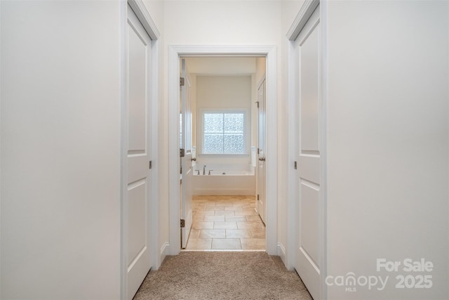 hallway featuring light colored carpet