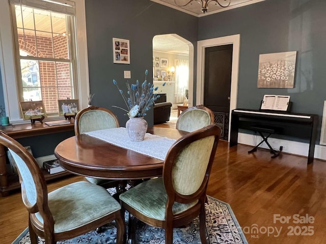 dining space featuring crown molding and dark hardwood / wood-style flooring