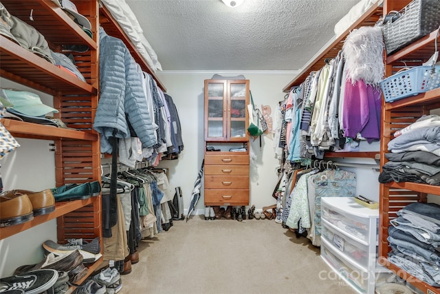 968 Waverly Ave, Rock Hill, SC 29730 - walk in closet featuring carpet