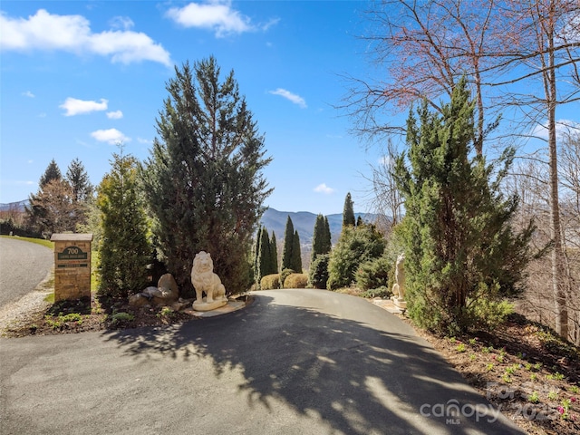 view of street featuring a mountain view