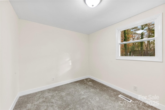 empty room featuring carpet