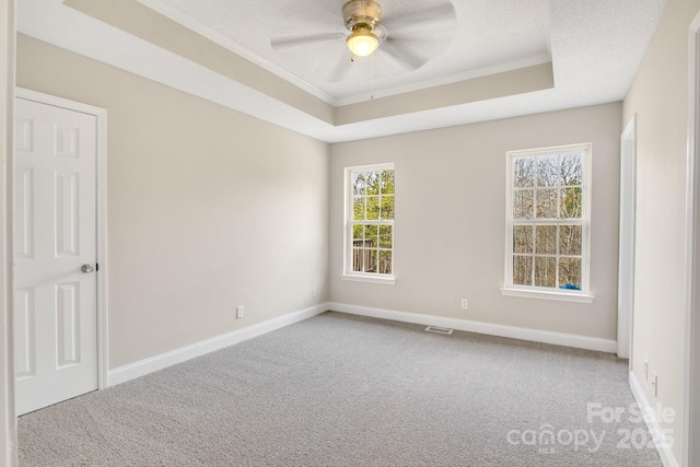 unfurnished room with carpet flooring, a tray ceiling, and a textured ceiling