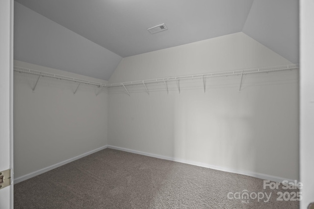 walk in closet with vaulted ceiling and carpet flooring