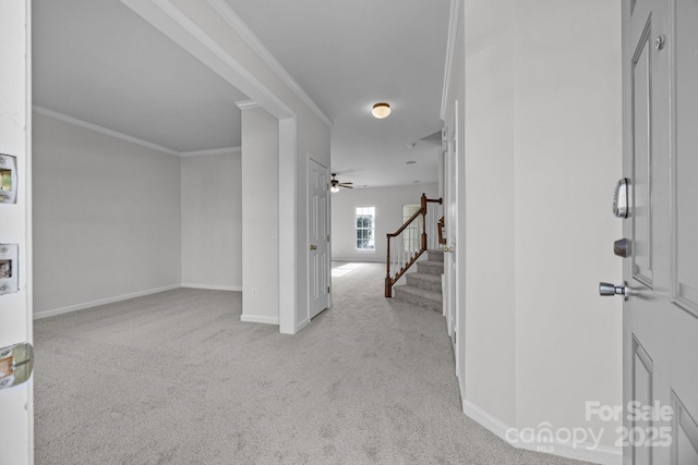 foyer with crown molding and light colored carpet