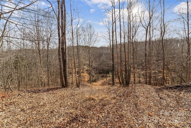 173 Deer Creek Trl, Statesville, NC 28677 - photo 7