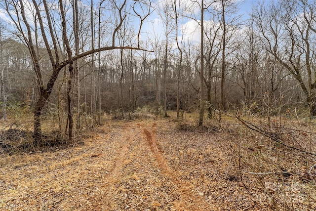 173 Deer Creek Trl, Statesville, NC 28677 - photo 8