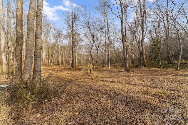 173 Deer Creek Trl, Statesville, NC 28677 - photo 9