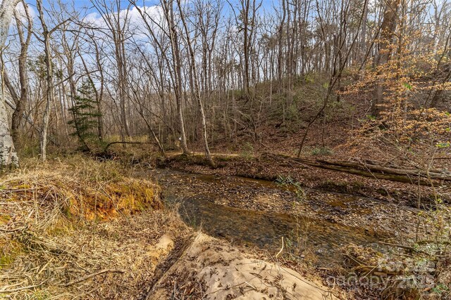 173 Deer Creek Trl, Statesville, NC 28677 - photo 10