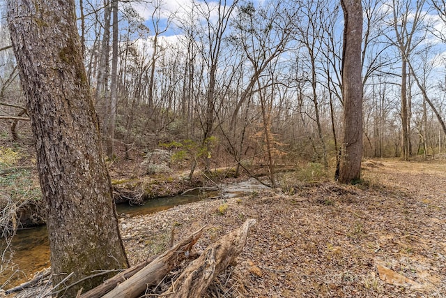 173 Deer Creek Trl, Statesville, NC 28677 - photo 12