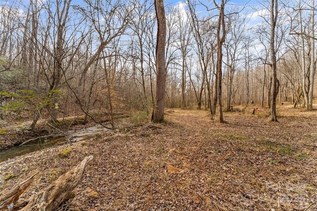 173 Deer Creek Trl, Statesville, NC 28677 - photo 13