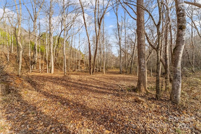 173 Deer Creek Trl, Statesville, NC 28677 - photo 14