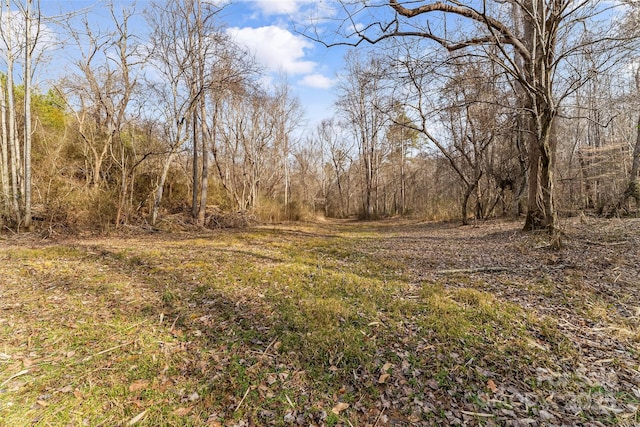 173 Deer Creek Trl, Statesville, NC 28677 - photo 16