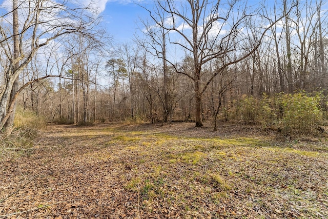 173 Deer Creek Trl, Statesville, NC 28677 - photo 17