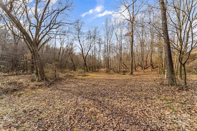 173 Deer Creek Trl, Statesville, NC 28677 - photo 18