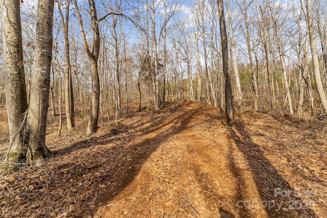 173 Deer Creek Trl, Statesville, NC 28677 - photo 19