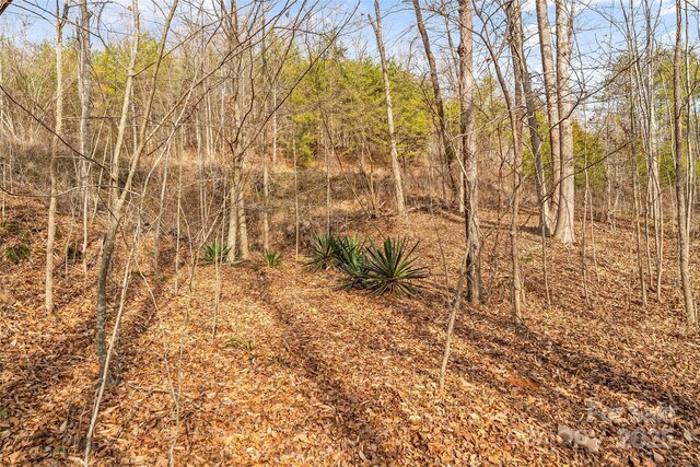 173 Deer Creek Trl, Statesville, NC 28677 - photo 20