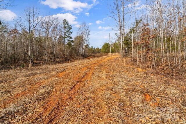 173 Deer Creek Trl, Statesville, NC 28677 - photo 21