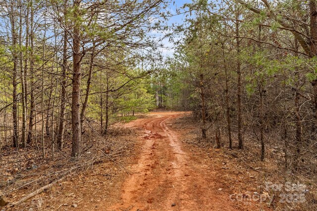 173 Deer Creek Trl, Statesville, NC 28677 - photo 23