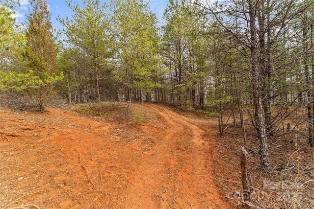 173 Deer Creek Trl, Statesville, NC 28677 - photo 25