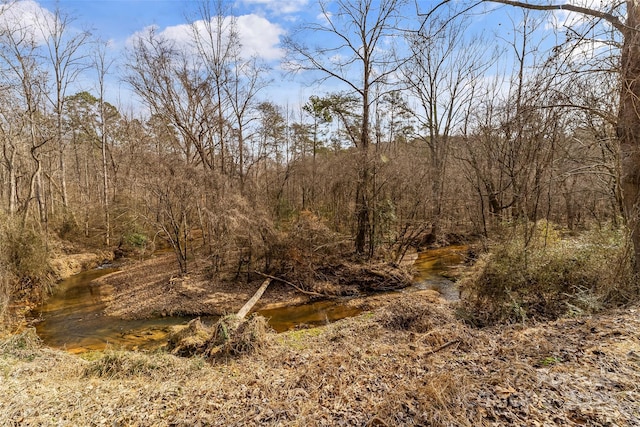 173 Deer Creek Trl, Statesville, NC 28677 - photo 26